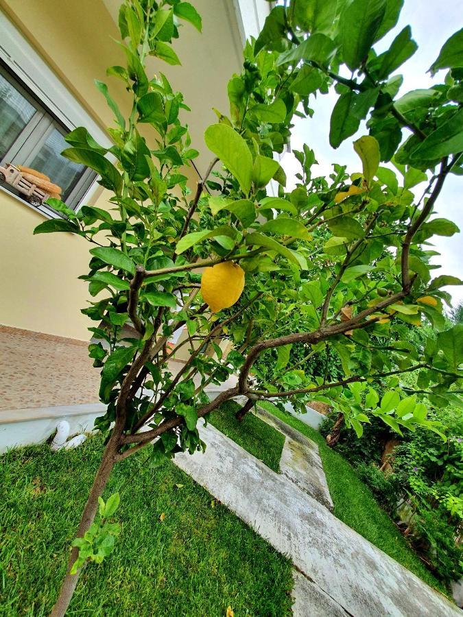 Apartamenty Rodzinne Kamena Vourla Exteriér fotografie